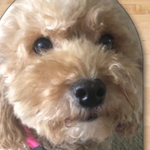 Meet your Posher, Stacey - Picture 1 of 1